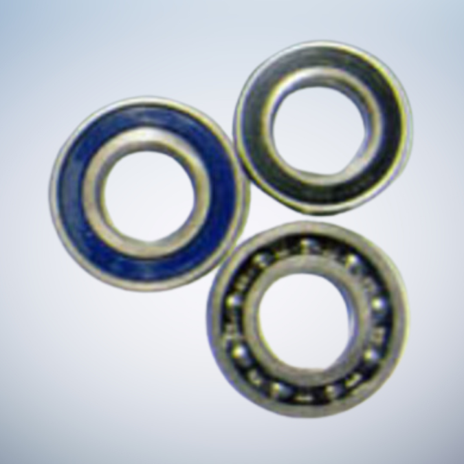 Austenitic Stainless Steel Bearings