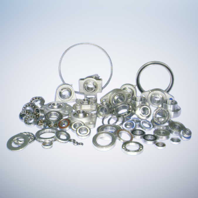 Stainless Steel Bearing Series